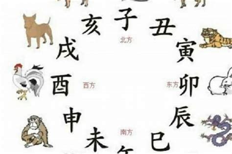 虎的三合|《易经》十二生肖三合、六合解析！